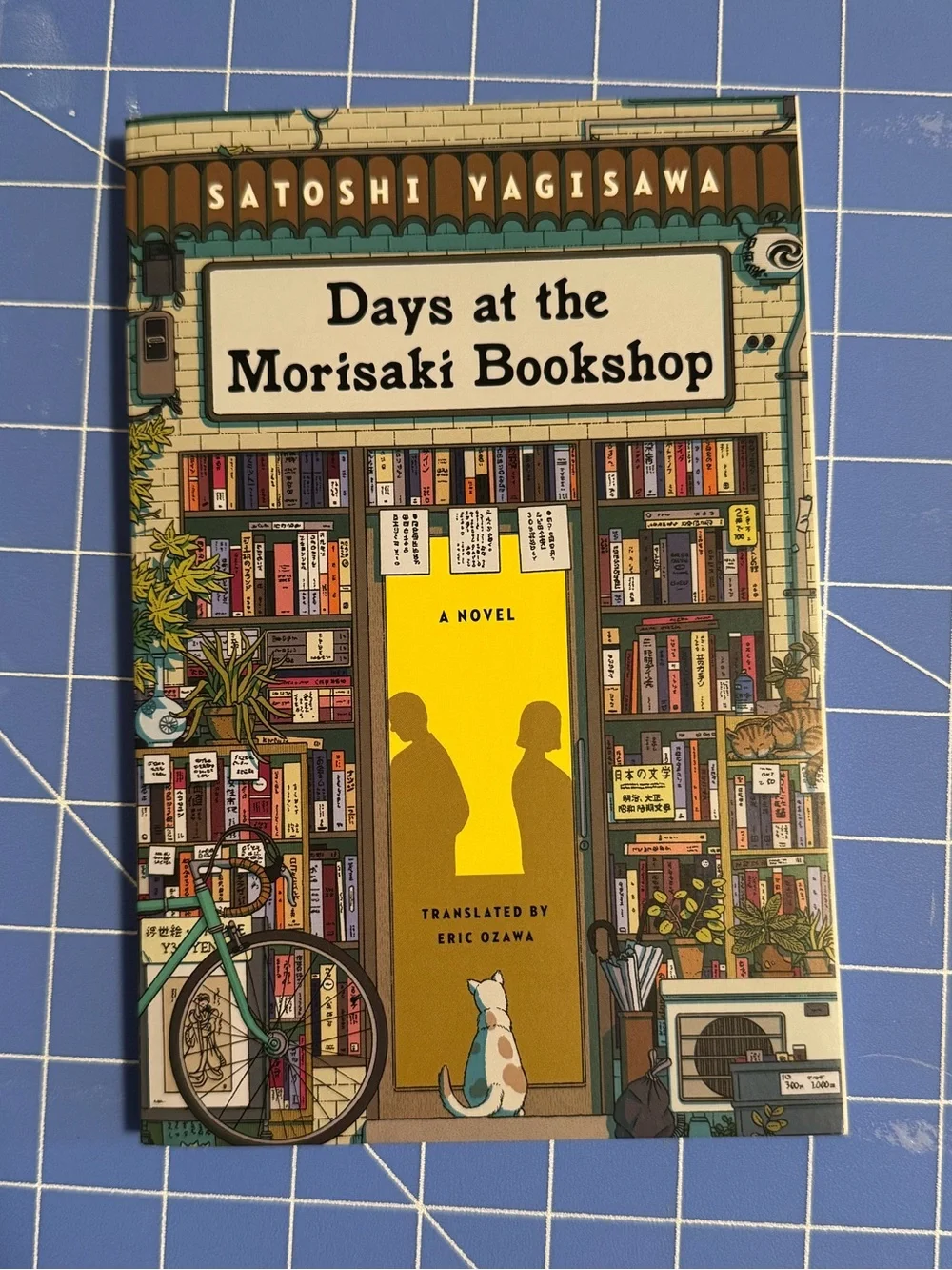 Bundle of two books by Satoshi Yagisawa